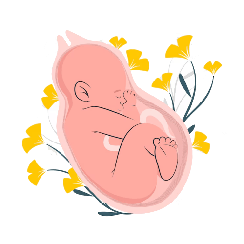 Best Obstetrician in Siliguri